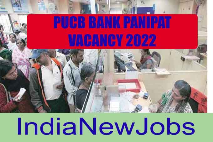 PUCB Bank panipat vacancy