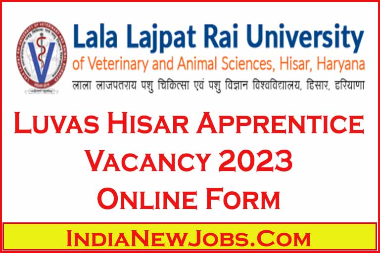 luvas hisar apprentice vacancy 2023