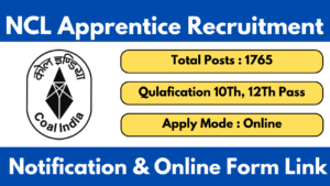 NCL Apprentice Vacancy 2025