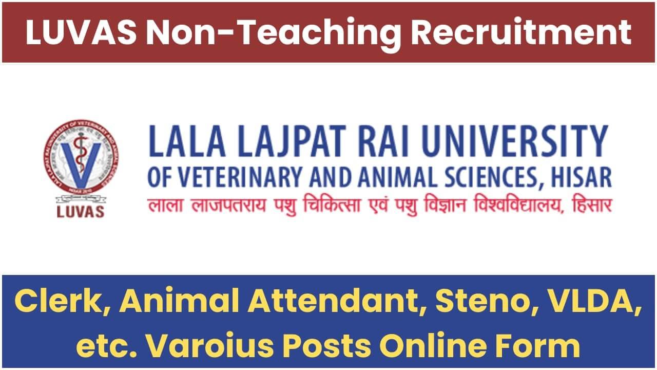 luvas hisar recruitment 2023 non teaching