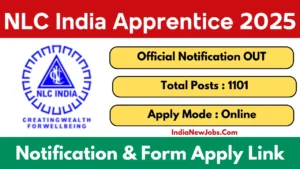 NLC Apprentice Vacancy 2025