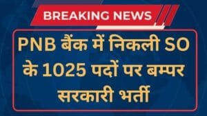 PNB SO Recruitment 2024