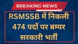 RSMSSB Stenographer and PA Recruitment 2024