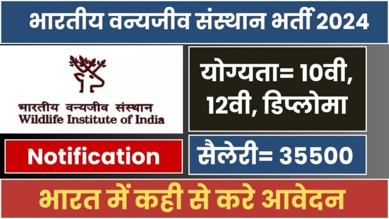 WII Recruitment 2024