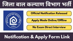 District Child Welfare Council Rohtak Vacancy 2025