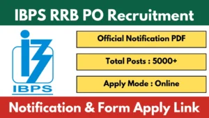 IBPS RRB PO Notification 2025